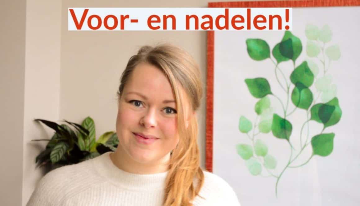 budgetteren voordelen nadelen