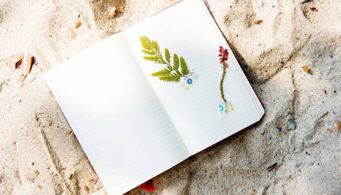 Open zijn over beleggingen - FinanceMonkey Open zijn over beleggingen - FinanceMonkey