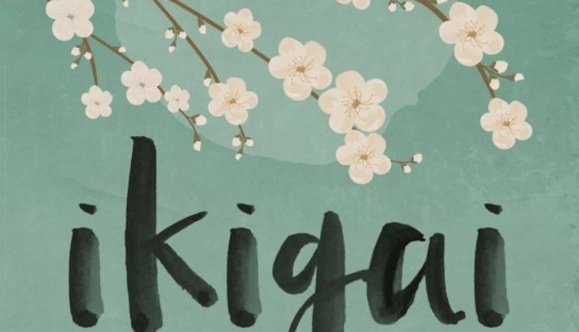 Cover Ikigai - Francesc Miralles Héctor Garcia - FinanceMonkey
