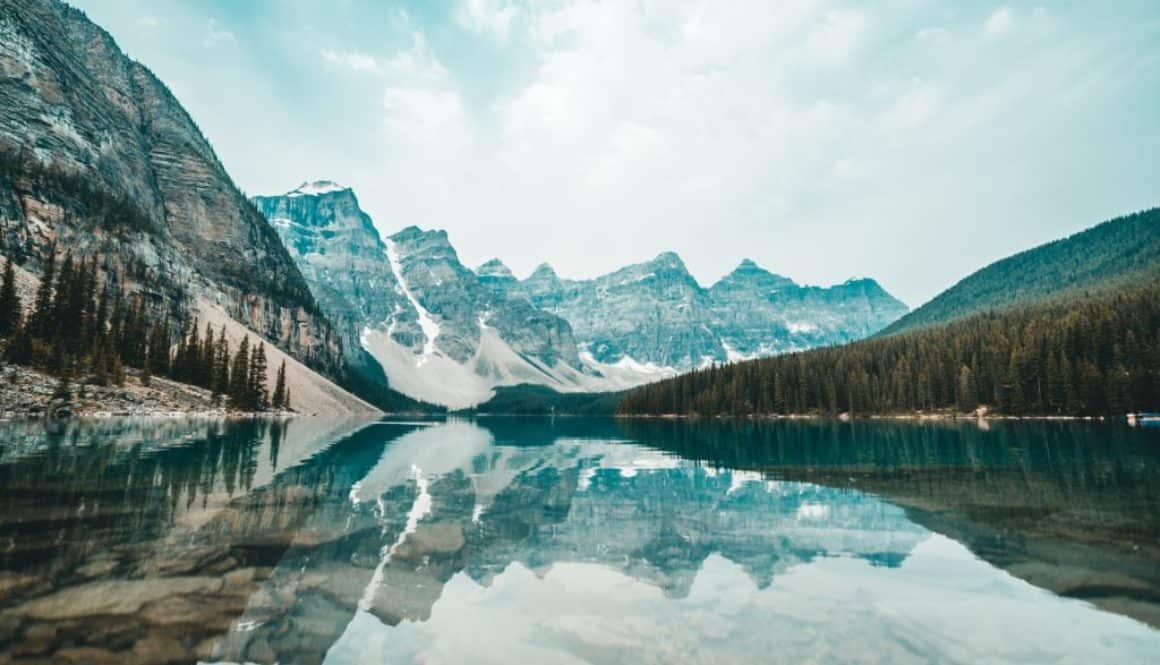 Unshakeable van Tony Robbins - FinanceMonkey