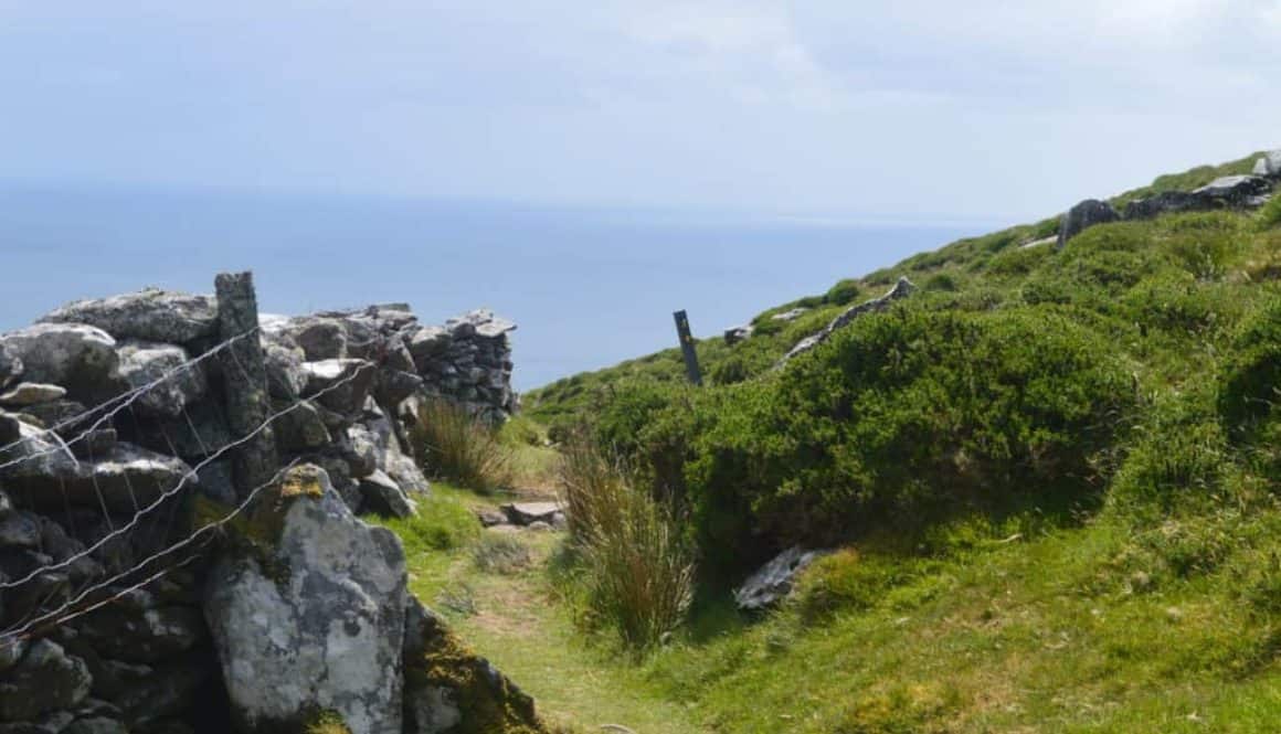 Mijn financiele doelen voor 2020 - Finance Monkey