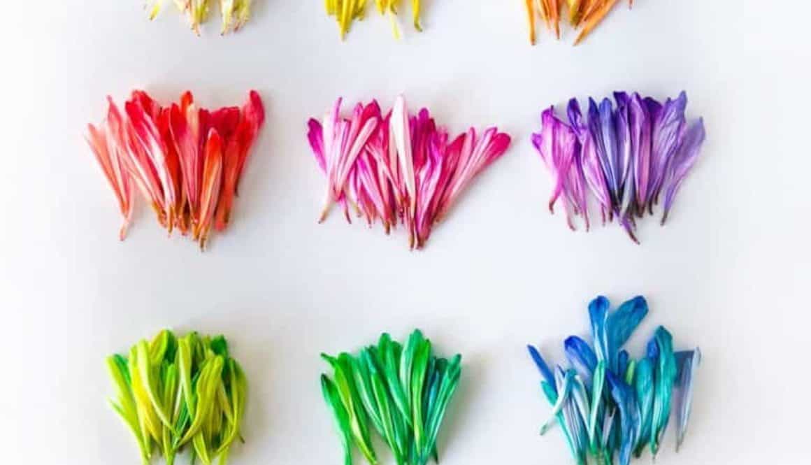 Mijn beleggingsportefeuille 2020 - FinanceMonkey Mijn beleggingsportefeuille 2020 - FinanceMonkey