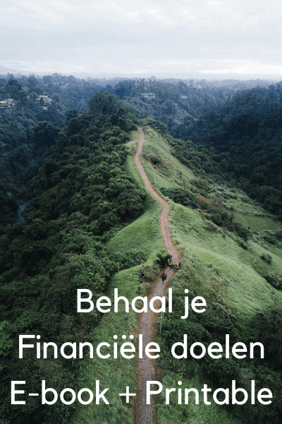 400x600 Behaal je Financiële doelen Ebook + Printable