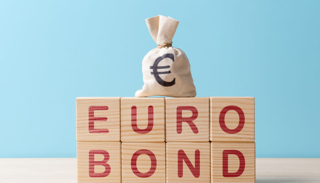 Moneybag with Euro symbol on wooden blocks with capture Eurobond