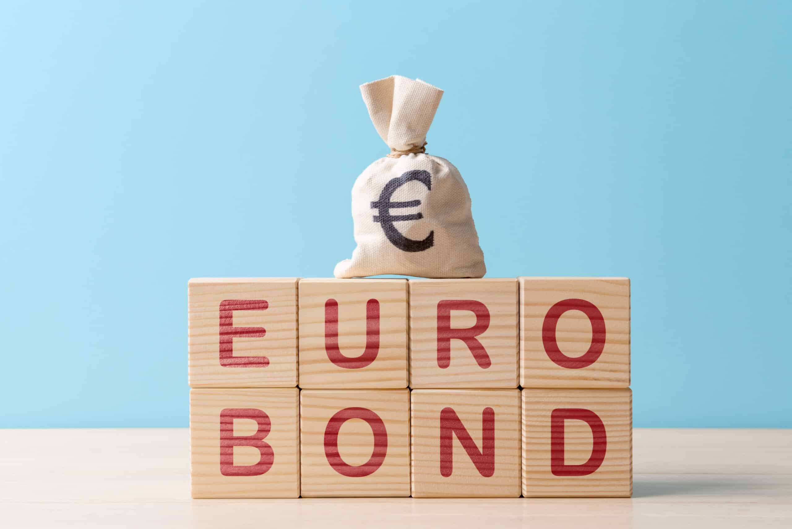 Moneybag with Euro symbol on wooden blocks with capture Eurobond
